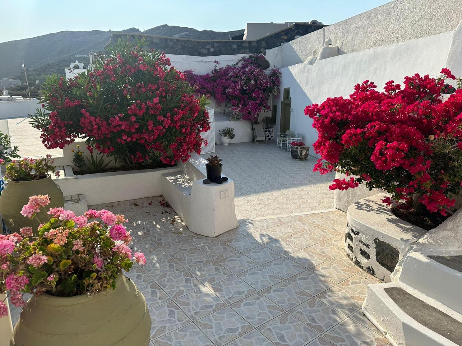 Palm Tree Hill ξενώνας Οία Εξωτερικό φωτογραφία