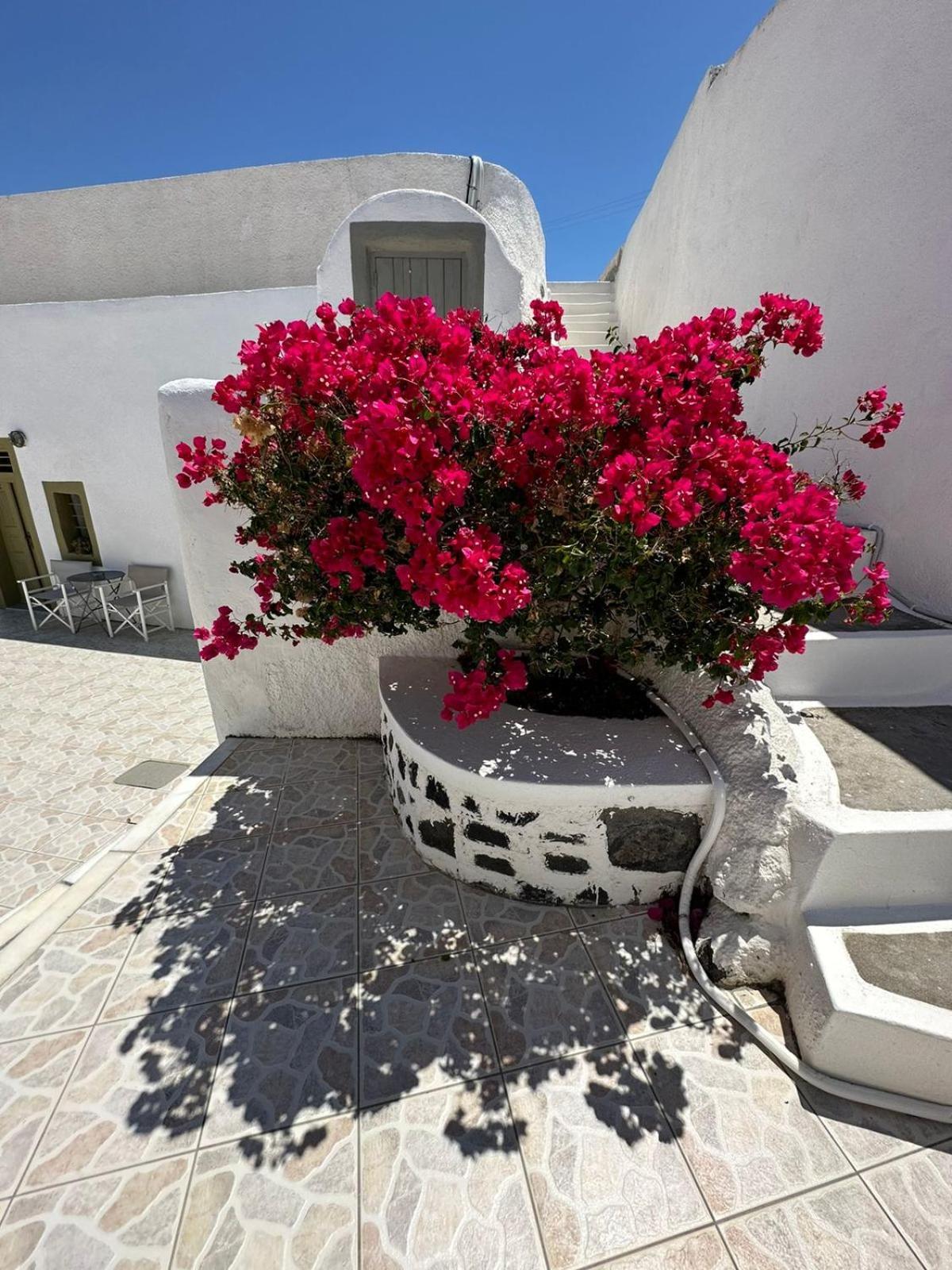 Palm Tree Hill ξενώνας Οία Εξωτερικό φωτογραφία