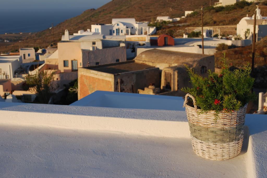 Palm Tree Hill ξενώνας Οία Εξωτερικό φωτογραφία